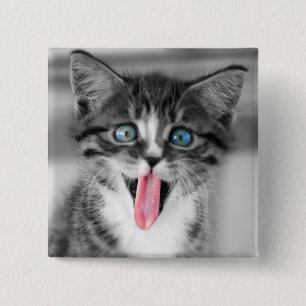 Funny Kitten 15 Cm Square Badge