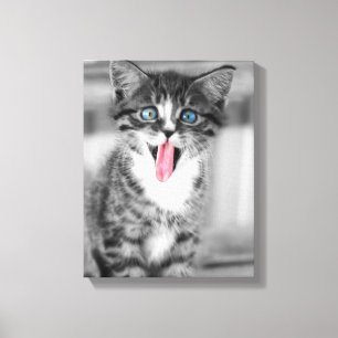 Funny Kitten Canvas Print