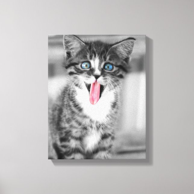 Funny Kitten Canvas Print (Front)