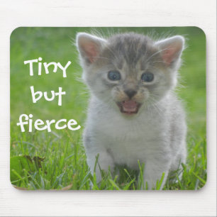 Funny Kitten Caption Tiny but Fierce Mouse Mat