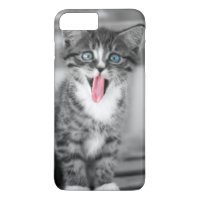 Funny Kitten
