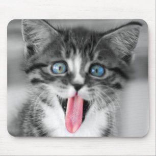 Funny Kitten Mouse Mat