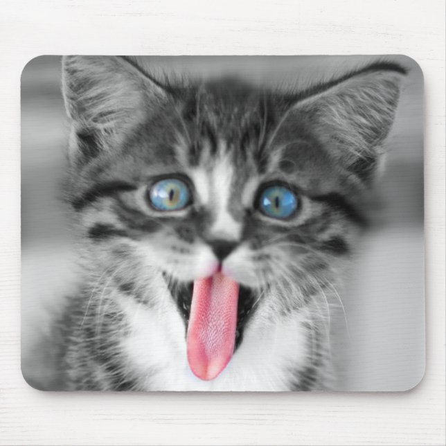 Funny Kitten Mouse Mat (Front)