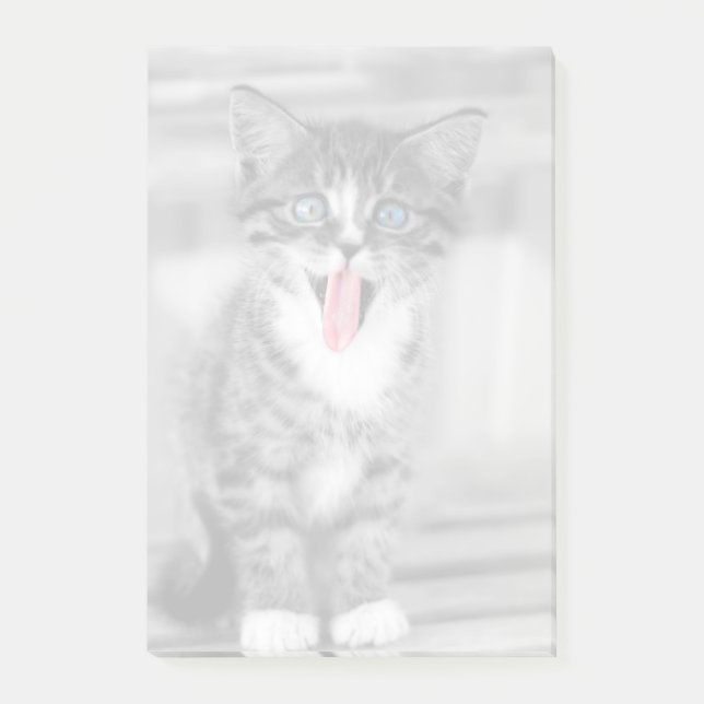 Funny Kitten Post-it Notes (Front)