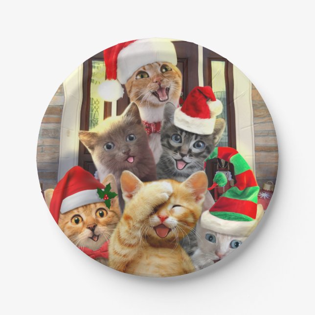 Funny kittens in Christmas Day Paper Plate (Front)