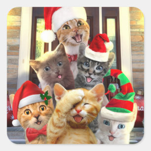 Funny kittens in Christmas Day Square Sticker