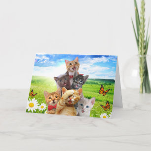 Funny kittens in green field.                      card