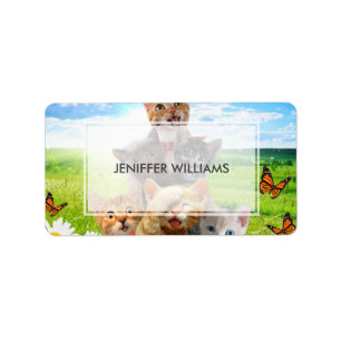 Funny kittens in green field.                      label