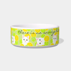 Funny Kitty Cat pet bowl Sunny, Cheerful, Cute!