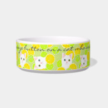 Funny Kitty Cat pet bowl Sunny, Cheerful, Cute!