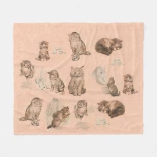 FUNNY KITTY CAT STORIES IN PINK FLEECE BLANKET