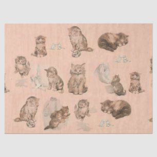 FUNNY KITTY CAT STORIES IN PINK TISSUE PAPER