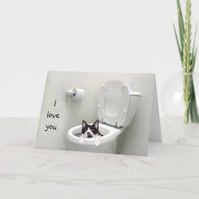 Funny kitty love or Valentine Holiday Card (Front)