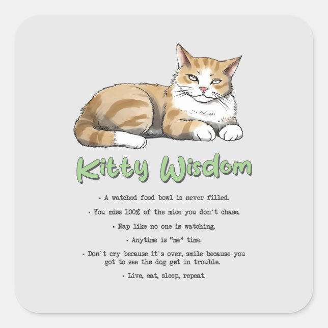 Funny Kitty Wisdom Square Sticker (Front)