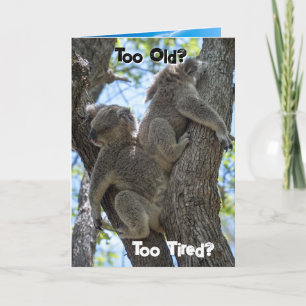 Funny Koala Beach Birthday Card - Let's Party