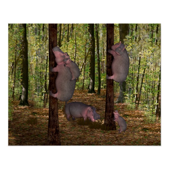 Funny Koala-Wannabe Hippos Poster (Front)