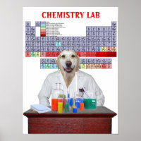 Funny Lab Chemistry Poster for Teachers