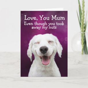 Funny labrador birthday card