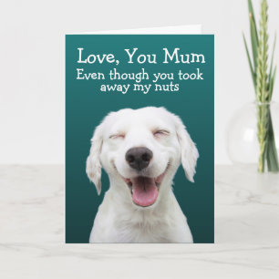 Funny labrador birthday card