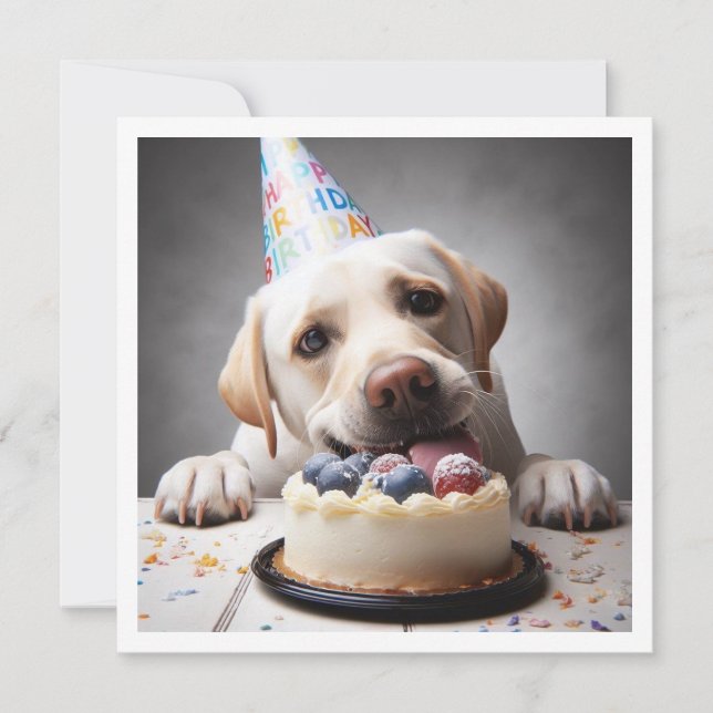 Funny labrador birthday card, labrador  invitation (Front)