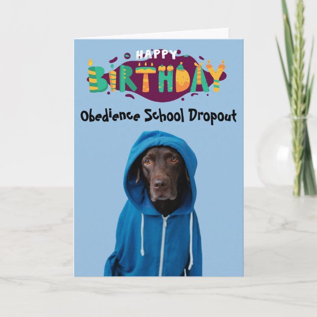 Funny Labrador dog birthday card (Front)
