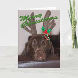 Funny Labrador Glitter Antlers Custom Text Inside Holiday Card