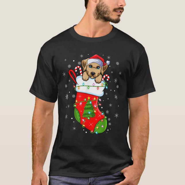 Funny Labrador Retriever Dog In Christmas Socks Li T-Shirt (Front)