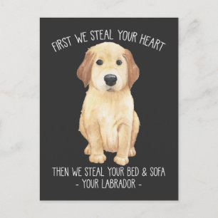Funny Labrador Retriever Dog Lover Stubborn Puppy Postcard