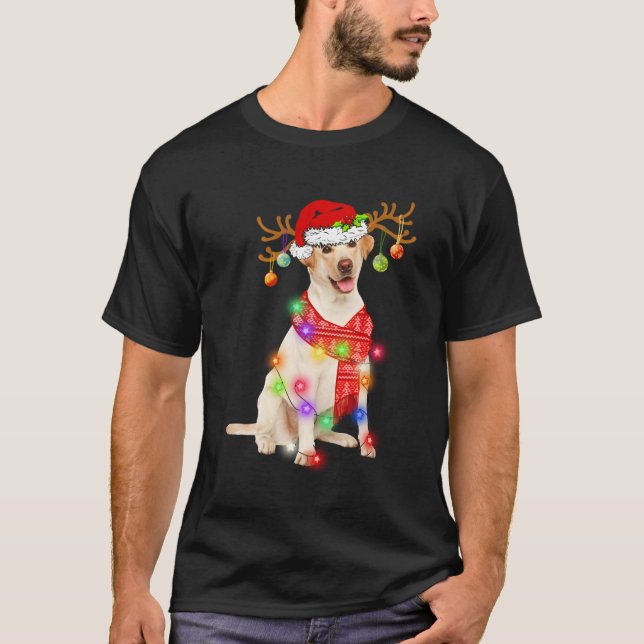 Funny Labrador Santa Hat Xmas Lights Gift Dog Love T-Shirt (Front)