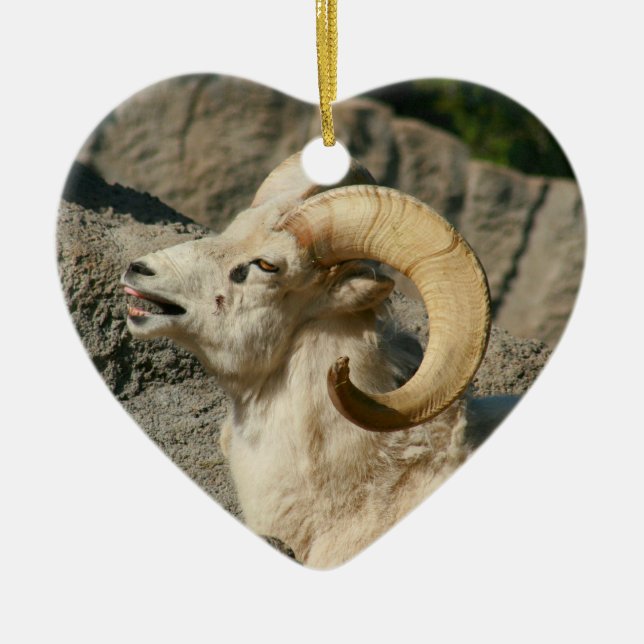 Funny Laughing Bighorn Sheep Ceramic Tree Decoration (Front)