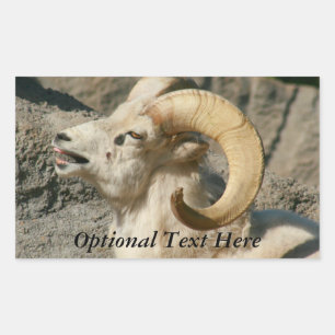 Funny Laughing Bighorn Sheep or Ram Rectangular Sticker