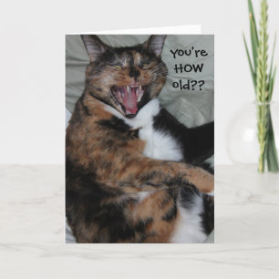 Funny Laughing Cat, Oldtimer (Antique) Birthday Card