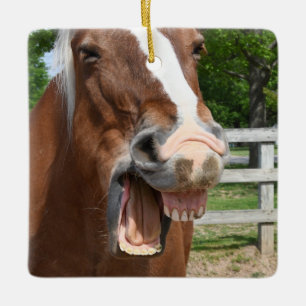 Funny Laughing Horse Ceramic Ornament