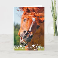 Funny laughing Horse Photograph I Love You