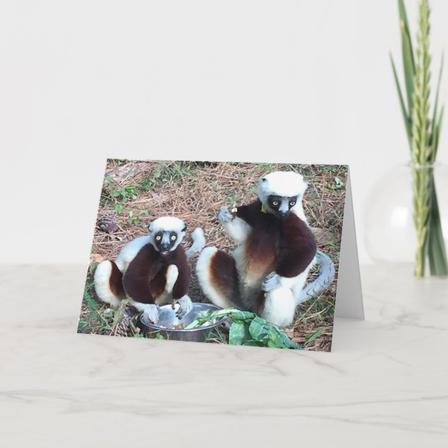 Funny Lemur Birthday Card (Front)