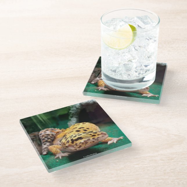 Funny Leopard Gecko Smiles for the Paparazzi Glass Coaster (Angled)