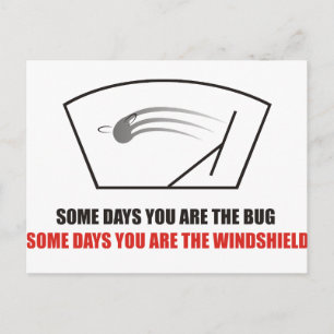 Funny - Life as Bugs on a windshield. Postcard
