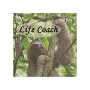 Funny Life Coach Cute Sloth Picture Black Text Wood Wall Art