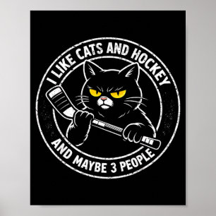 Funny like cats hockey and maybe 3 people sarcatic poster