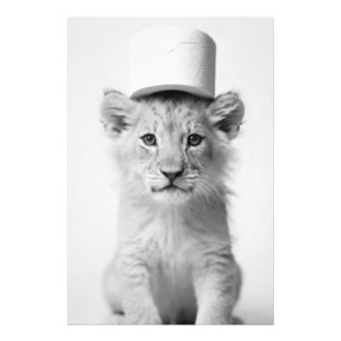 Funny Lion Cub Wearing Toilet Paper Hat Minimalist Photo Print