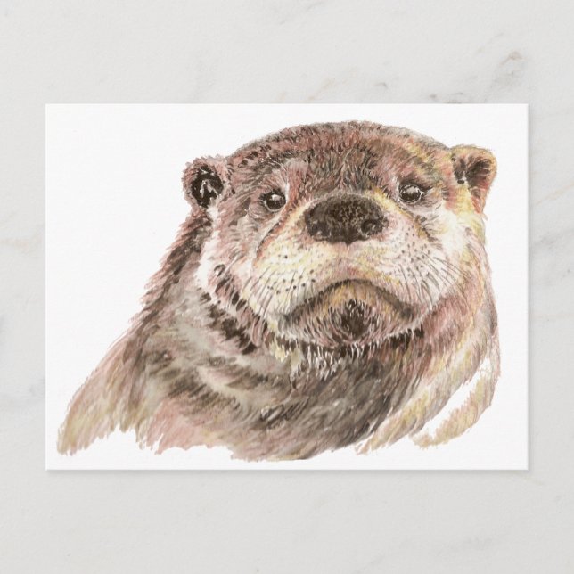 Funny Little Otter, Cute Animal Nature Postcard (Front)