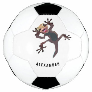 Funny Lizard Gecko Personal Football