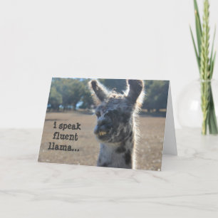 Funny Llama Birthday (2), I speak fluent llama... Card