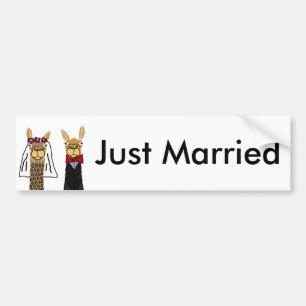 Funny Llama Bride and Groom Wedding Art Bumper Sticker
