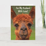 Funny Llama "For My Husband" Birthday Card<br><div class="desc">Show your man how much you love him with this entertaining llama card! Personalise the message and make his dreams come true. Many thanks for looking! Photo ©Christine Greenspan</div>