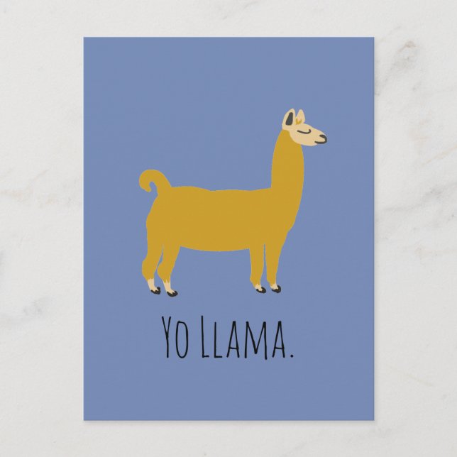 Funny Llama Pun Postcard (Front)
