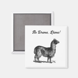 Funny Llama Sketch, Cute Animal Ink Drawing Magnet