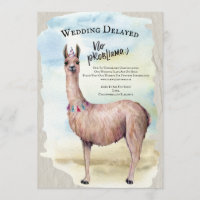 Funny Llama Wedding Postponed Invitation