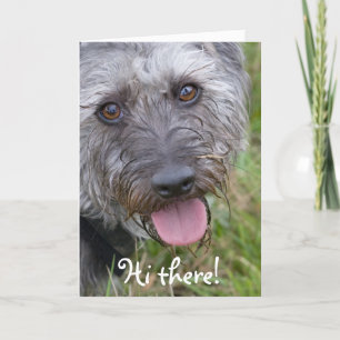 Funny Looking Dog Greeting Card