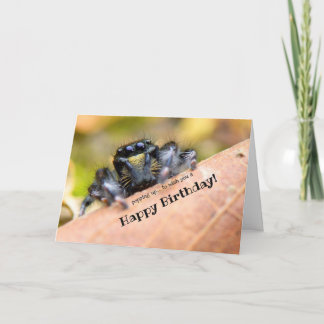 Funny-looking Hairy Spider Custom Happy Birthday © Card